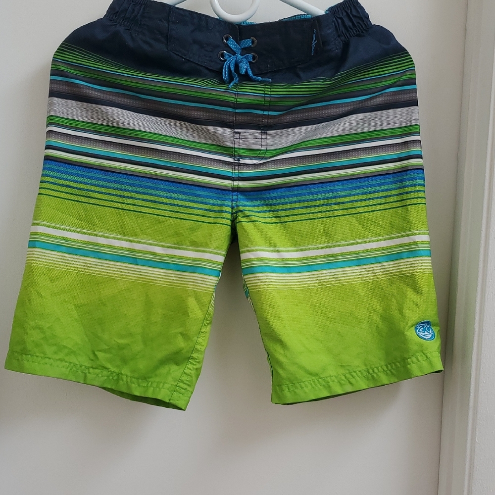 ZeroXposur Green and Blue Striped Swim Shorts Size Boys L 14
